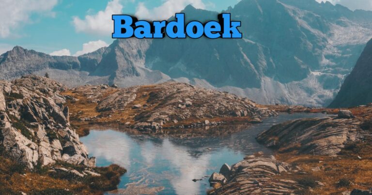 Bardoek