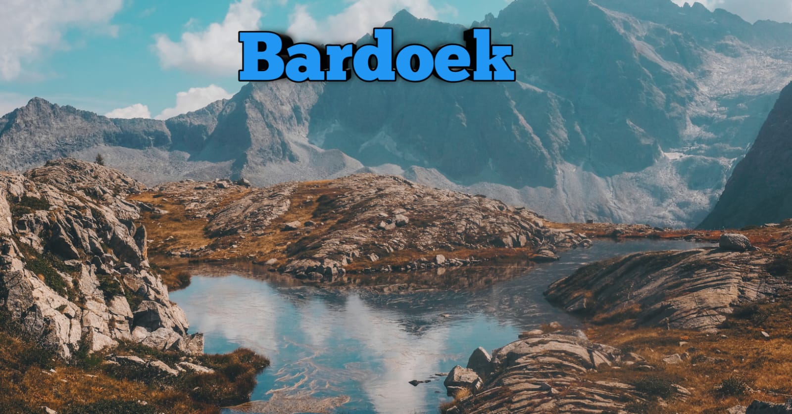 Bardoek