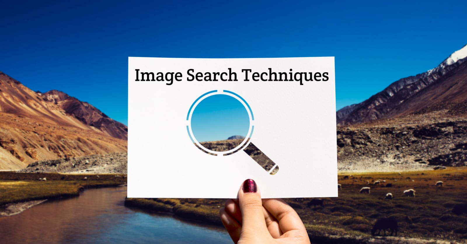 Image Search Techniques